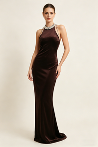 Backless Pearl Velvet Maxi Dress in Brown
