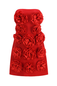 Bandeau Corsage Detail Mini Dress