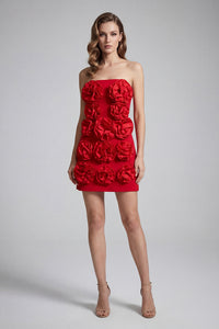 Bandeau Corsage Detail Mini Dress