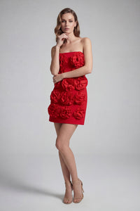 Bandeau Corsage Detail Mini Dress