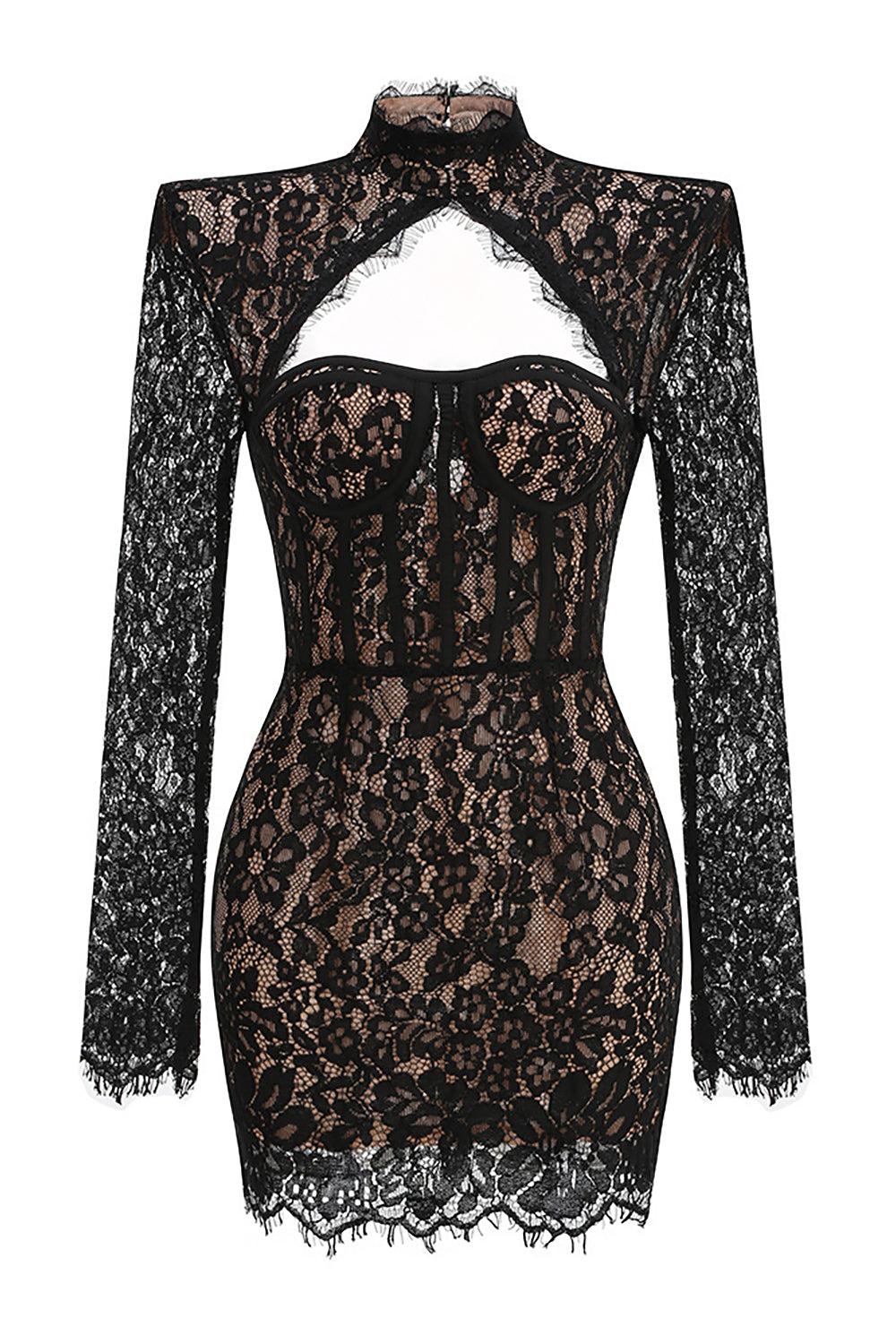Floral-embroidered Cutout Lace Mini Dress in Black