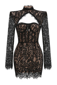 Floral-embroidered Cutout Lace Mini Dress in Black