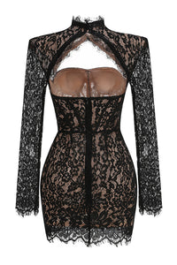 Floral-embroidered Cutout Lace Mini Dress in Black