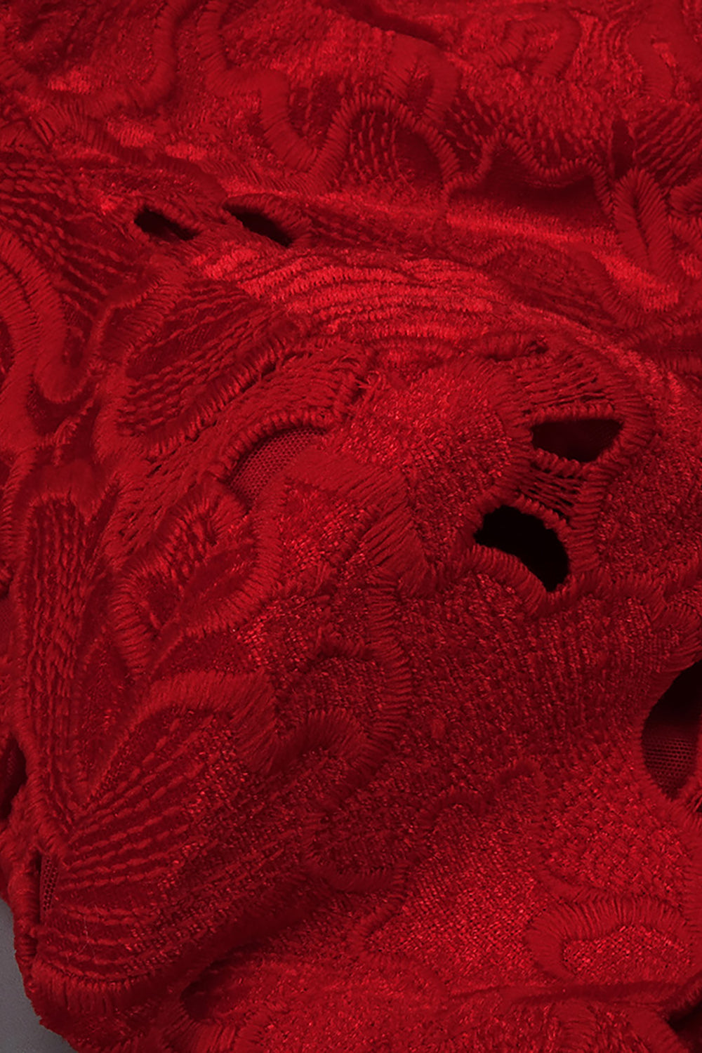 Floral Embroidered Mini Dress