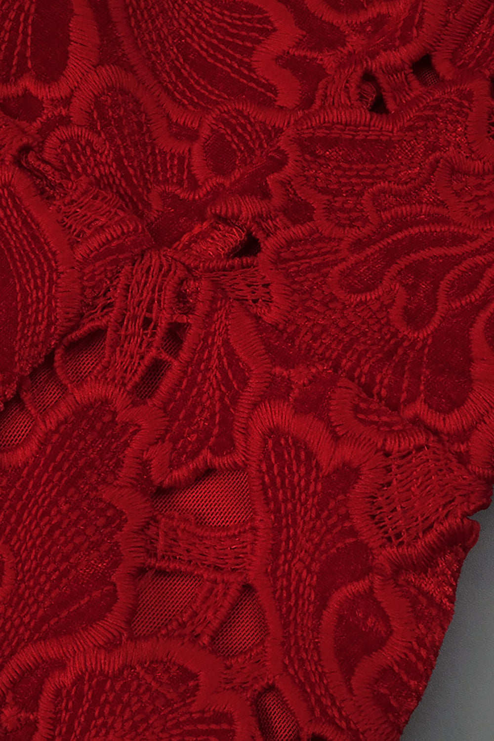 Floral Embroidered Mini Dress