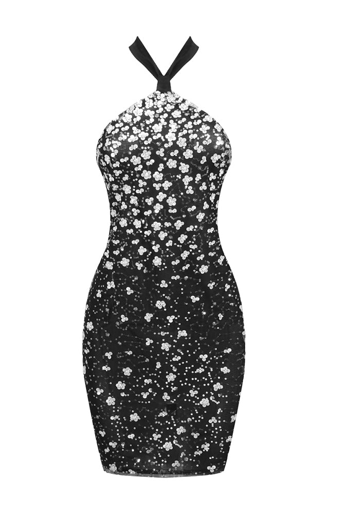 Halterneck Crystal Embellished Mini Dress