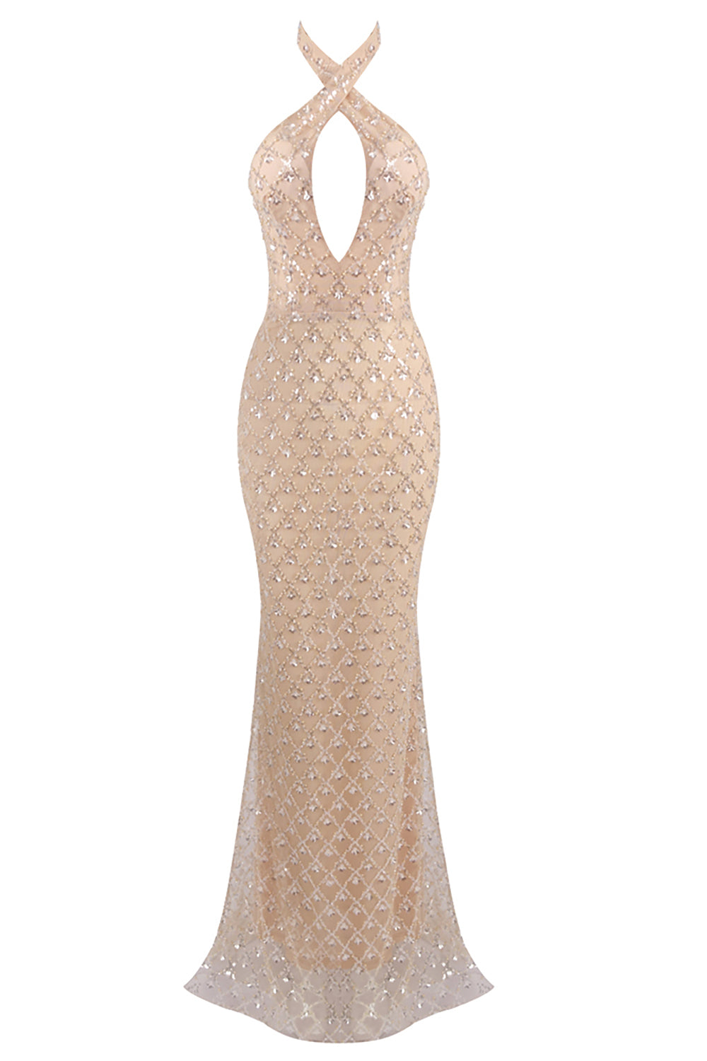 Halterneck Sequin Mesh Maxi Dress