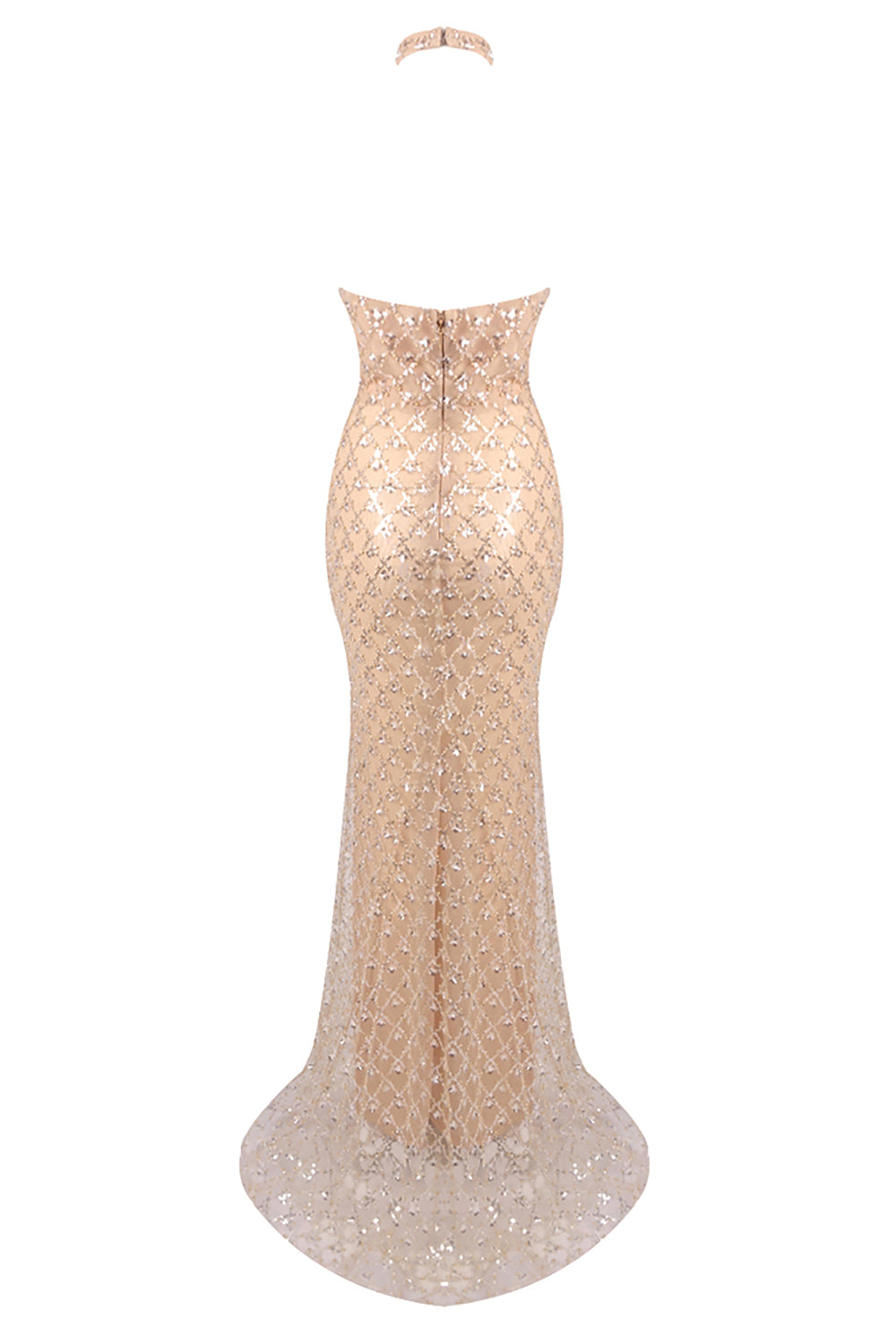 Halterneck Sequin Mesh Maxi Dress