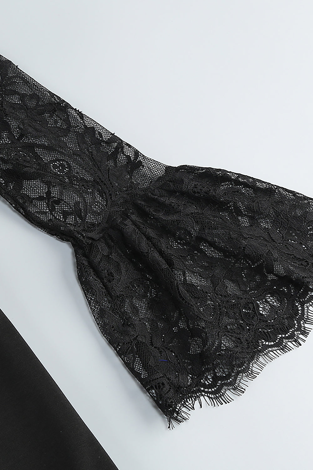 Lace Sleeve Mini Dress