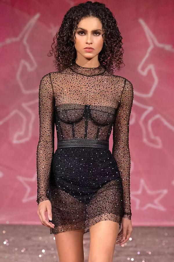 Long Sleeve Crystal Embellished Mesh Dress