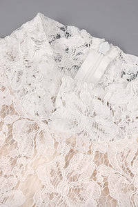 Long Sleeve Lace Corset Gown