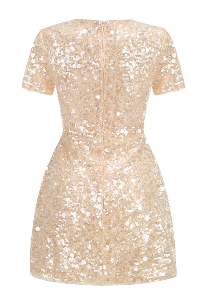 Sequin Pearl Embroidered Short Sleeve Dress