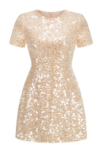 Sequin Pearl Embroidered Short Sleeve Dress