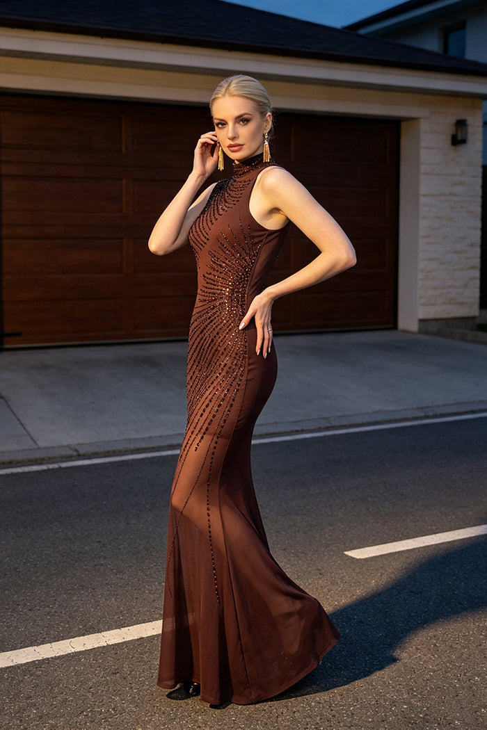Sleeveless Crystal Mesh Maxi Dress in Brown