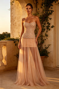 Strapless Crystal Mesh Maxi Dress in Nude