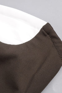 Strapless Drop Waist Pleated Gown