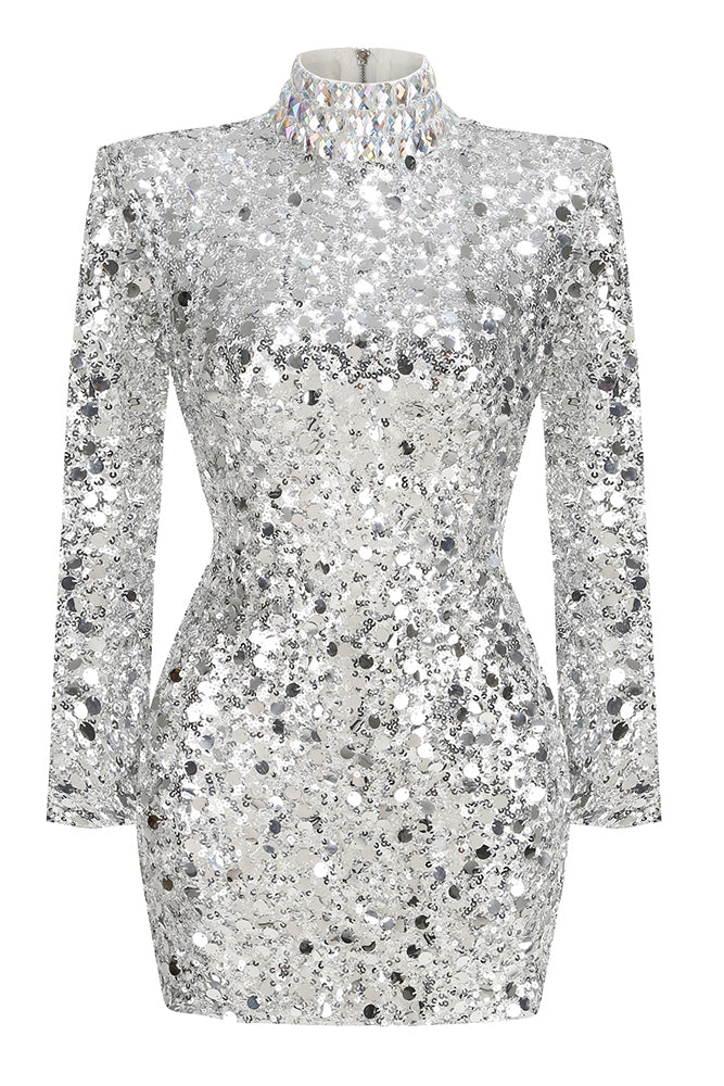 Turtle Rhinestone Sequin Embroidered Dress in Silver