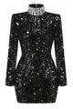 Turtle Rhinestone Sequin Embroidered Dress in Black