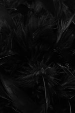 Black Strapless Sequin Mesh Feather Mini Dress